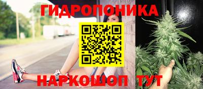 прущие крисы Гусев