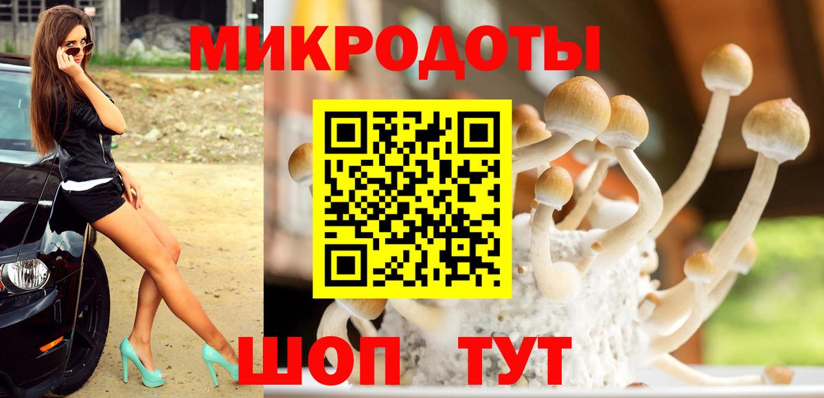 Псилоцибиновые грибы Psilocybe  Вход с VPN  Мурманск 