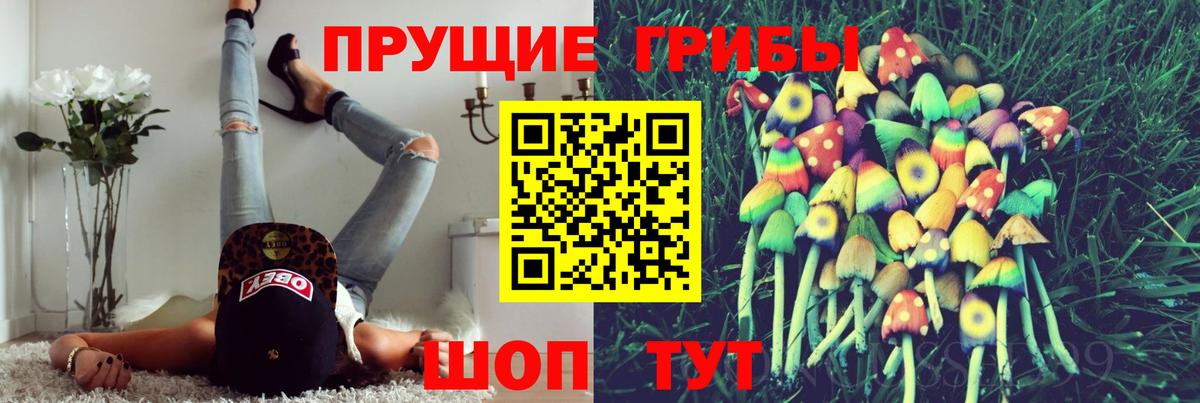 Галлюциногенные грибы прущие грибы Мурманск
